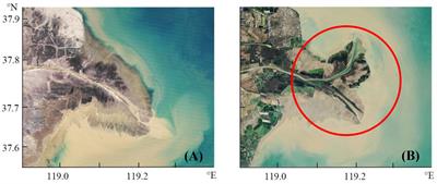 Lagrangian analysis of material transport around the headland in the Yellow River Estuary